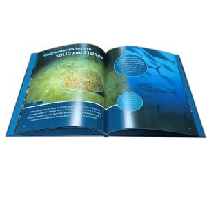 City Fish Country Fish Children Book Printing Smyth Sewn With Eco-friendly Ink