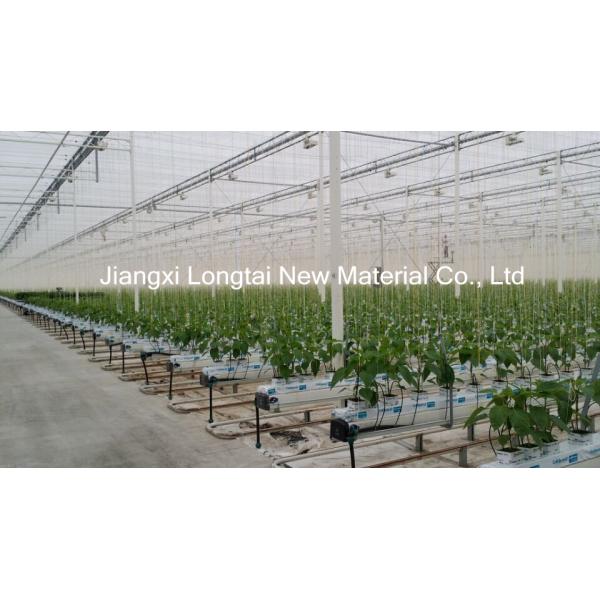 PP Baler Twine 2mm 500m/kg Eco-Friendly Agriculture Rope