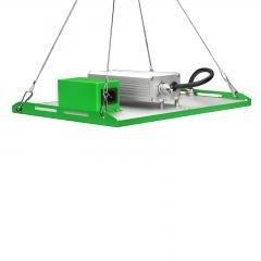 China Plant supplement lamp wholesale
