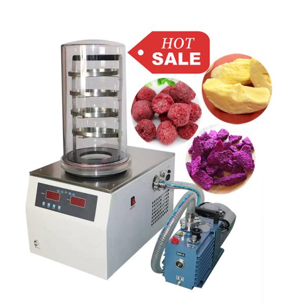 Laboratory Antibiotics Cucumber Vaccines Blood Enzyme Hormones Fruits Food