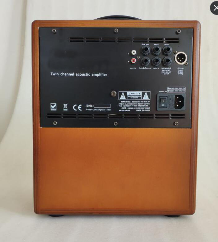 8" Dual Twin Channels AERs Style Acoustic Guitar Amplifier 60W