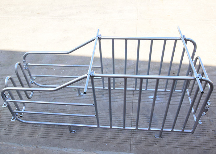 1inch Pipe OD Swine Farrowing Pen Farm Equipment 2.2*0.65m