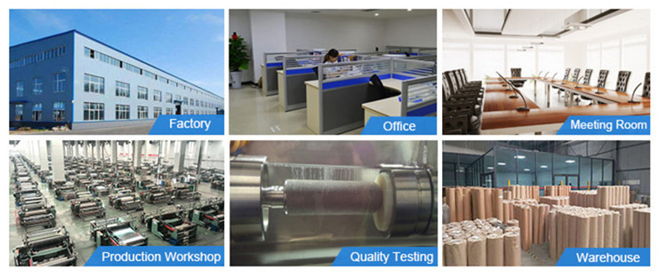 Ss316 10 20 50 100 Micron 300um 304ss Sintered Filter Elements For Drug Sediments Filtering