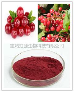 China 2015 Best Price Cranberry Extract Proanthocyanidins 50% wholesale