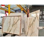 Polished Beautiful Paonazzo Marble Stone for Hotel Kitchen Countertop Decoration