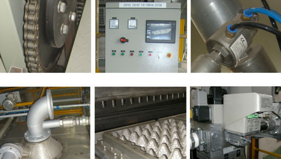 Waste Paper Making Pulp Packaging Machine 220V Recycling Full Automatic