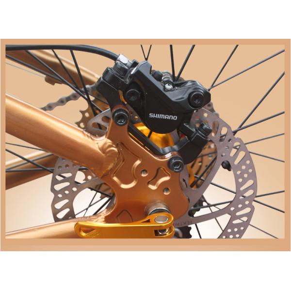 Gold 30 Speed 26x4.0 Inch Fat Wheel Mountain Bike