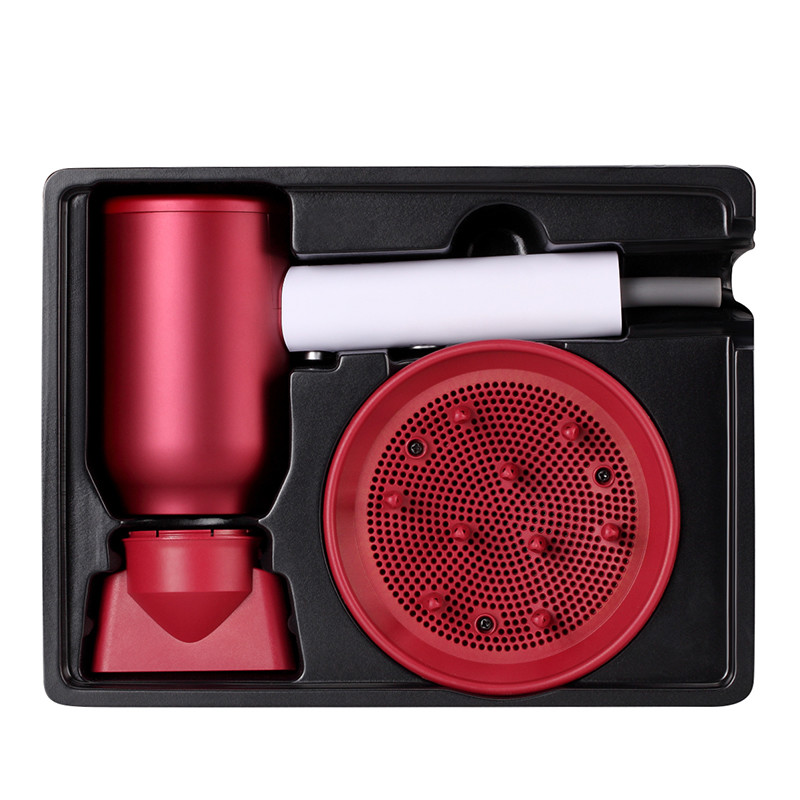 1500W Professional Ionic Hair Dryer 50/60 Hz Portable for Hair Care