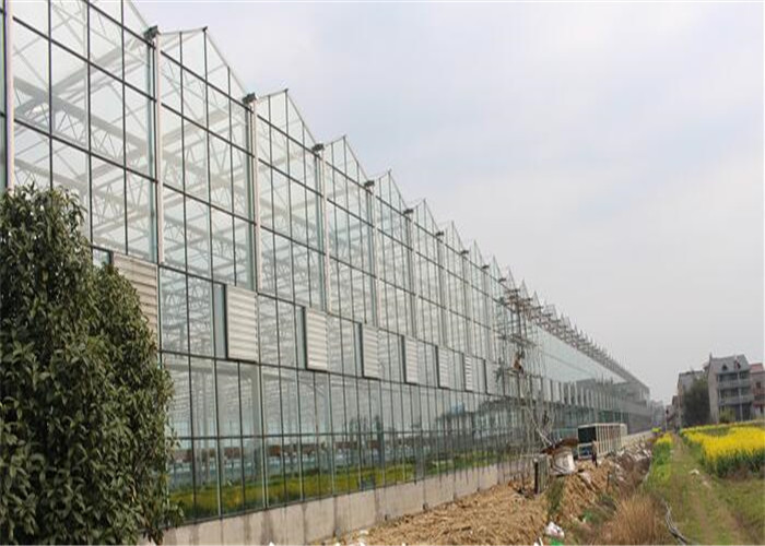 4m Section Width Glass Greenhouse Kit , Greenhouse System For Fruit Seedlings
