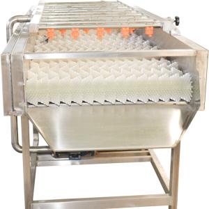 China Stainless Steel 220v Jujube Fruit Vegetable Washing Machine wholesale