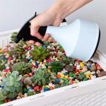 600ml Blue Pink Hand Garden Pump High Pressure Sprayer Pp Plastic Bottle