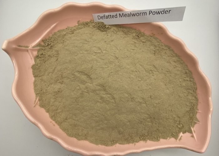 Light Yellow Mealworm Protein Powder with Antibaterial Peptides Moisture Within 7%
