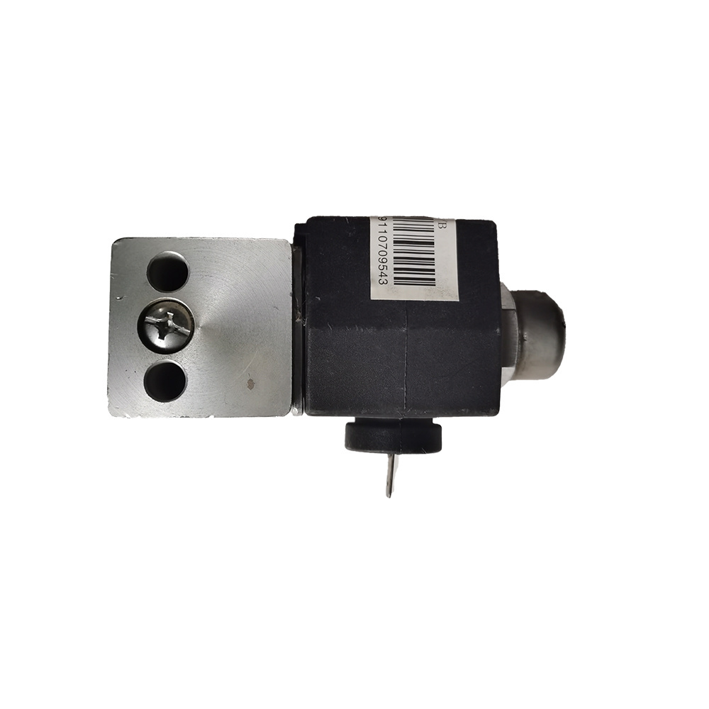 Magnetic Valve Wg9100710008 Heavy Truck HOWO Shacman for Sale