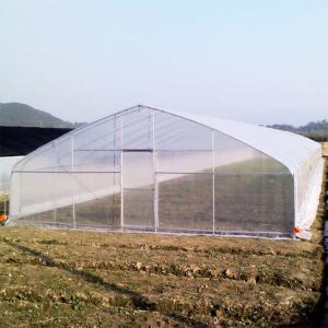 China Modern Farming Single-span Plastic PE Film Poly Tunnel Tomato Greenhouse wholesale