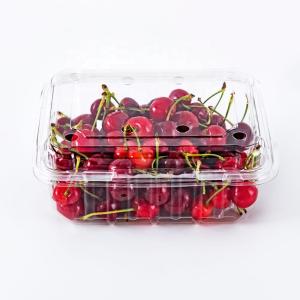 China Blister Molding Customized Food Takeaway Containers wholesale