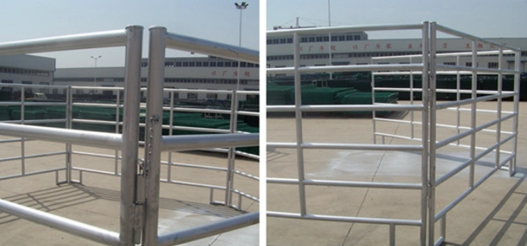 Cattle Metal Corral Fence