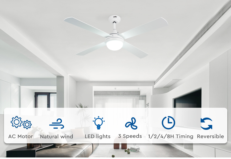 ceiling fan