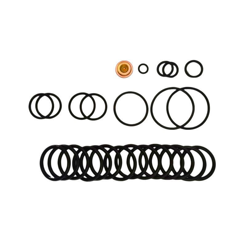 Oilfield Completion #10 BP3.SEC Redress Kits Bridge Plug Rebuilt O Rubber Ring