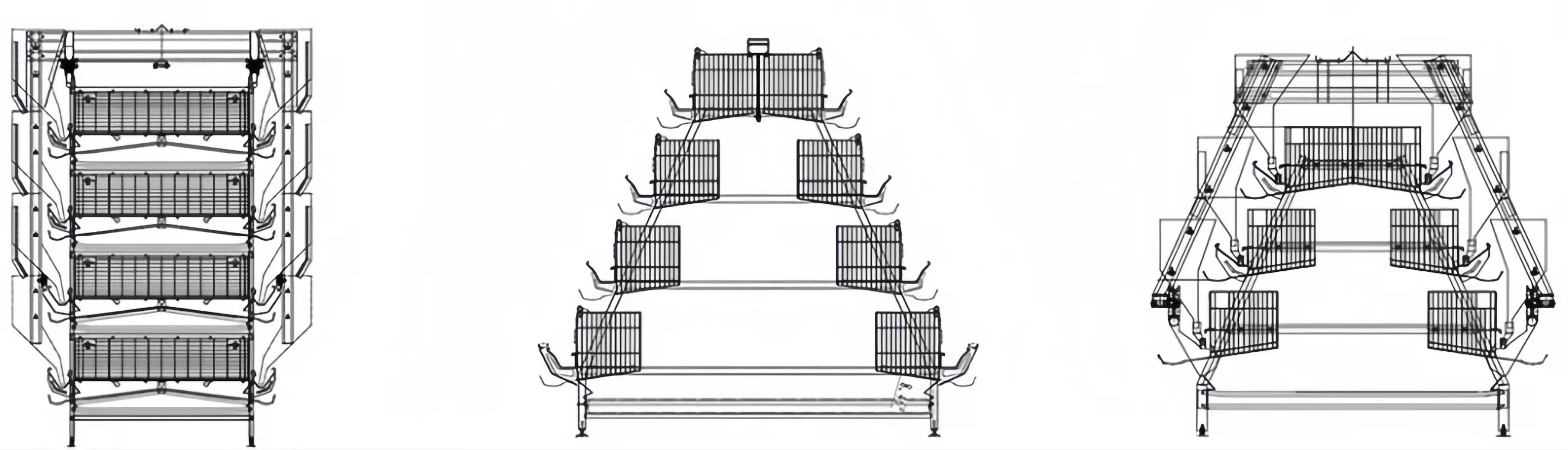 Automatic Layer Battery Chicken Cages 4 Tiers 5 Tiers Agricultural Poultry Farming Cage