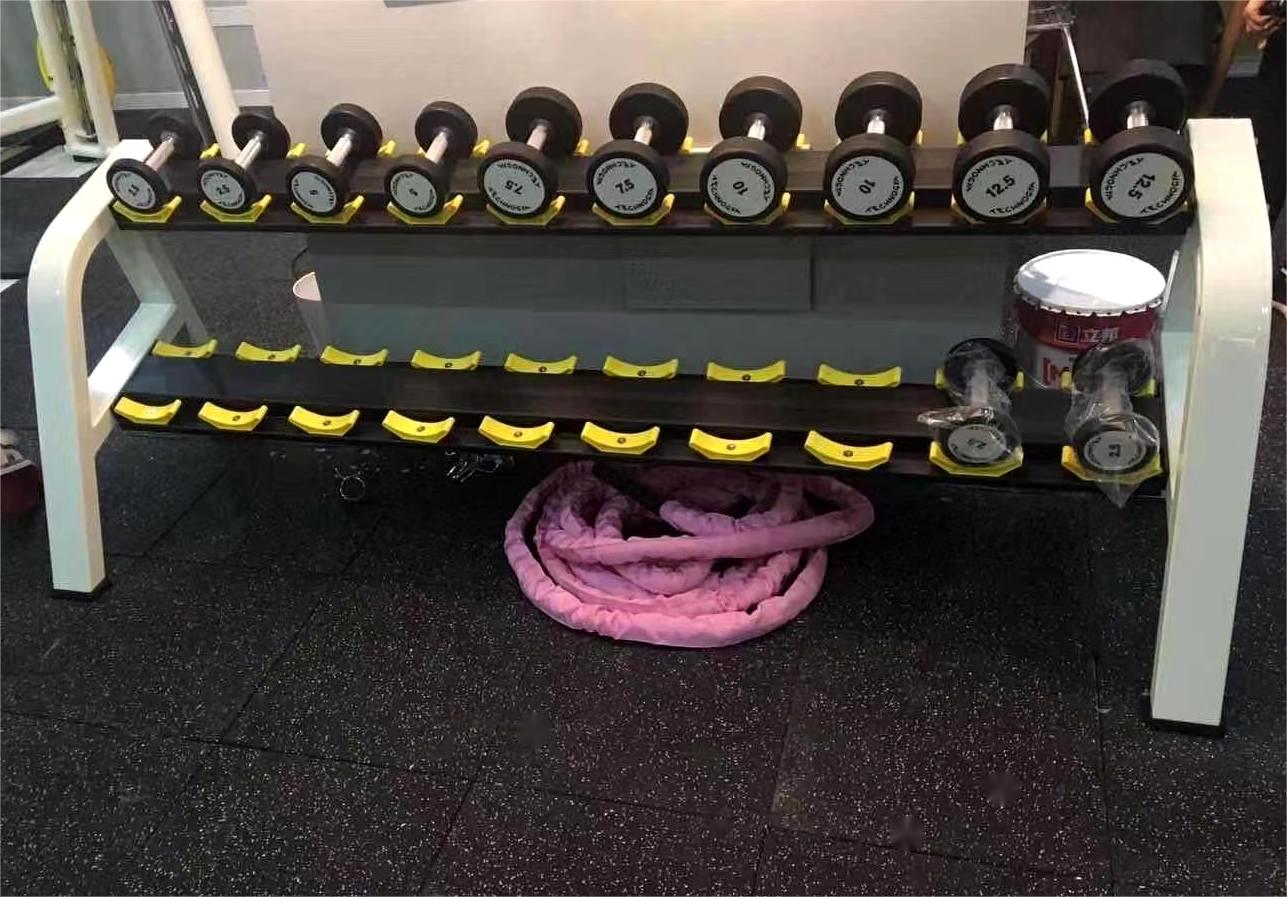 Commercial Double Layer Dumbbell Rack Steel Rubber Plate Fitness Equipment