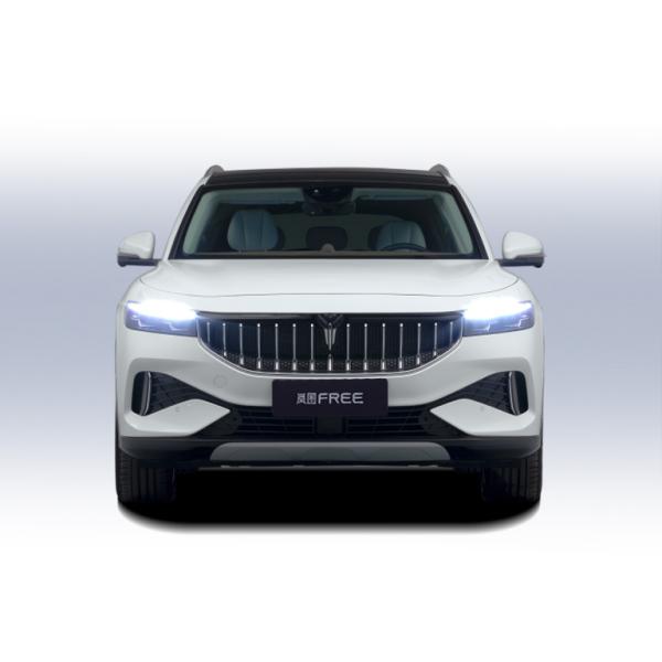 2023 Luxury New Energy Pure Electric Car 4Wd Long Range Nedc 505Km Voyah Free 0km used car Electric Car