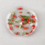 70mm Bacterial Cell Culture Plastic Petri Dishes With Lids Culture Dishes