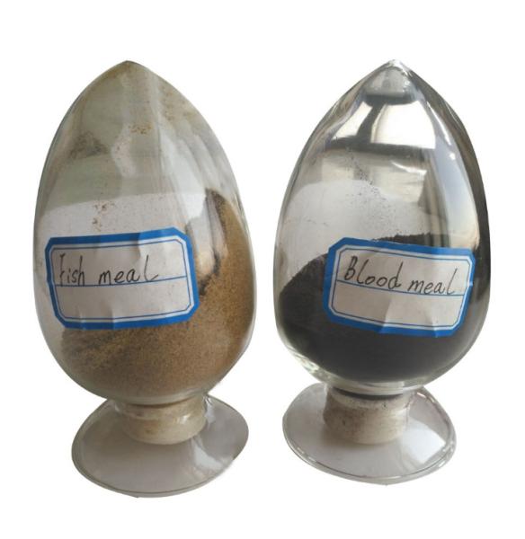 Stainless Steel Rendering Facility Diseased Poultry Harmless Treatment Animal