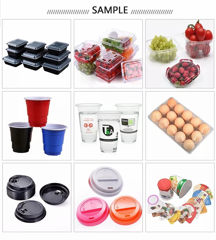 Eco Egg Tray Forming Machine Vacuum Thermoforming Equipment 7.5KW Servo