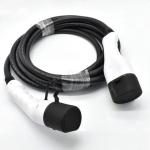 250V 32A Double Headed EV Charging Gun With 5m Copper PVC Cable