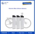 Customized Electric Bike Lithium Battery 36V 48V Multiple Protection 18650