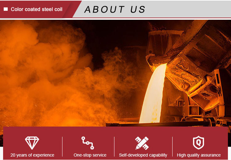 Hot Dipped Galvanized Steel Coils Prime Prepainted HDGL HDGI Ppgi Coated Coil Cold Rolled