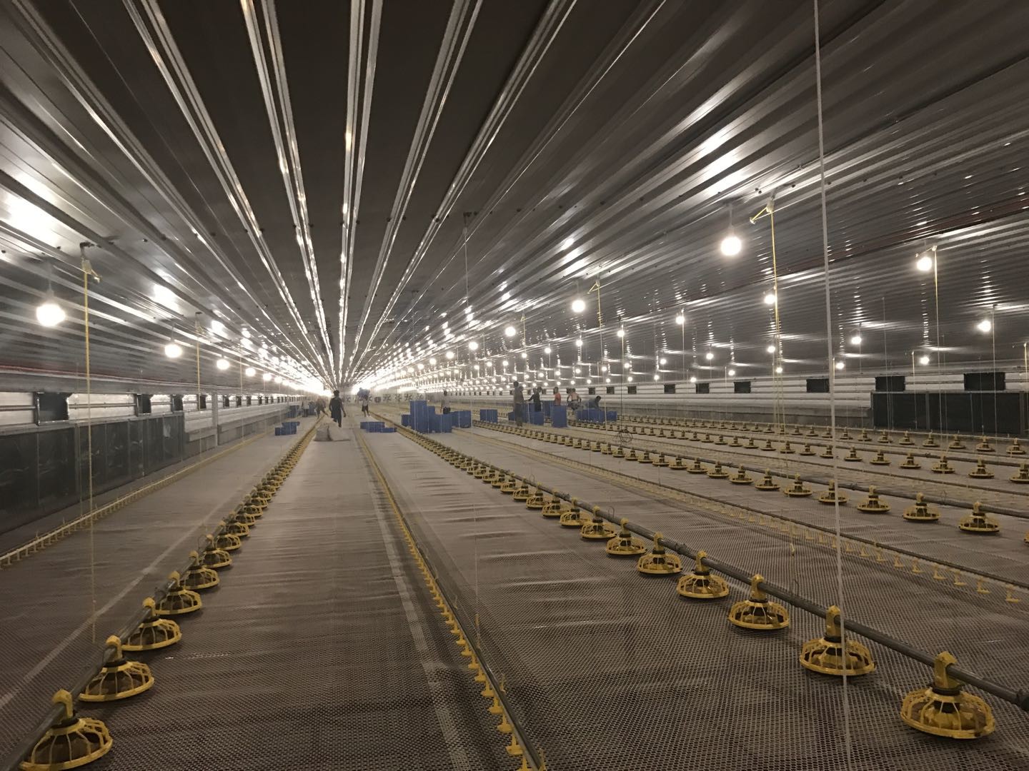 45cm Pipe Poultry Farm Feeding Equipment 3 Pan /3M Easy Assamble