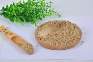 China Moisture Controlled Mealworm Protein Powder with Dried Mealworm wholesale