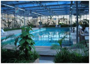 China Eco Friendly Ecological Greenhouse High Strength Hot Dip Galvanized Steel Structure wholesale
