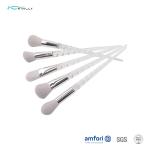 Aluminum Ferrule Plastic Handle 5 Piece Travel Makeup Brush Set