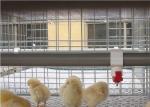 Long Life Q195 Steel Wire Layer Chicken Cage 3/4 Tier Layer Cage