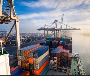 China Sea Freight Efficient Customs Clearance wholesale