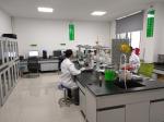 China Supply Konjac Gum Powder Compound Thickeners For Meat Products
