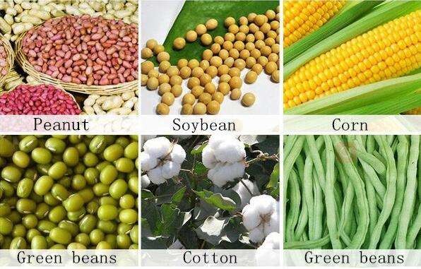 3 Rows Farming Tools Equipment 3 Wheels Vegetable Seed Sowing Machine