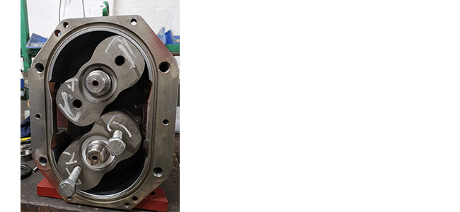 Reversible 190Rpm Food Waste Pumps Multipurpose Anti Corrosion