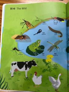 China 99 Keys ICTI 300*300mm AAA Battery Children Audio Books wholesale