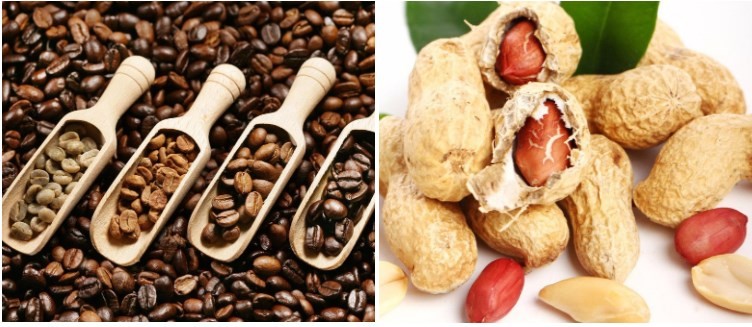20Kg/H 5KW Electric Nut Roasting Machine Pistachio Small Heating 10kg/batch