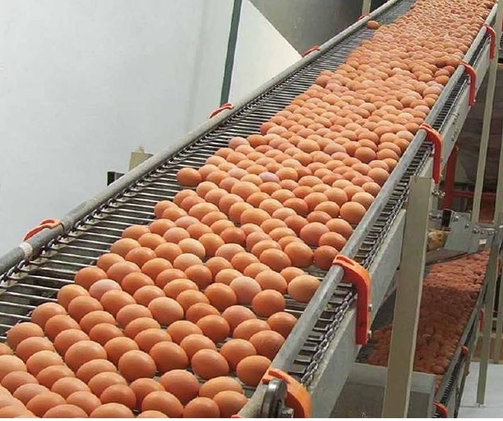 Bakery Stainless Steel Flat Flex Wire Mesh Conveyor Belt Factory Price