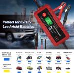 Waterproof Lead Acid Car Battery Charger 2A 6A 6V/12V Battery Charger
