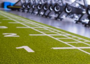China Athletic Workout Fitness Training Artificial Grass Turf For Gym OEM ODM wholesale