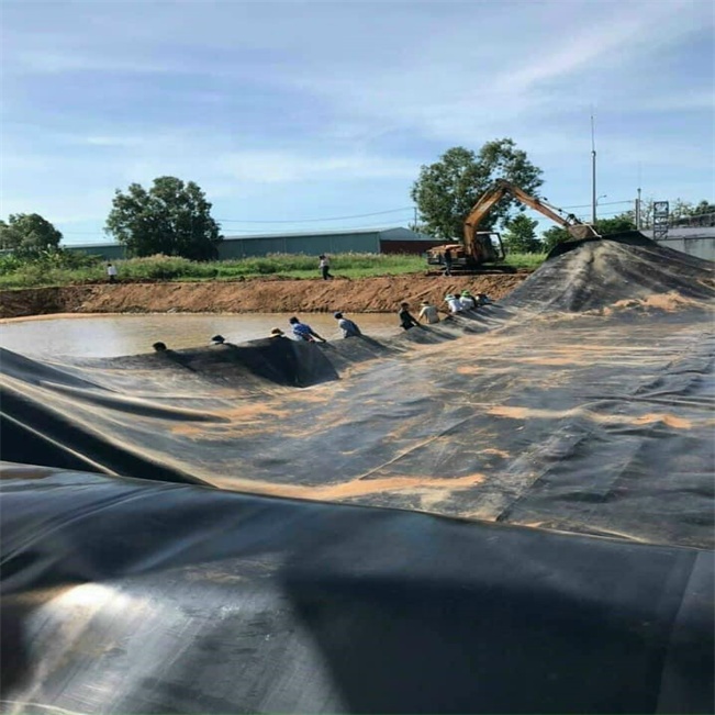 Waterproofing HDPE Geomembrane Pond Liner 45 Mil Suitable for All Sizes of Ponds