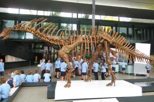 China Realistic Complete Dinosaur Fossil , Simulation Full Dinosaur Skeleton wholesale