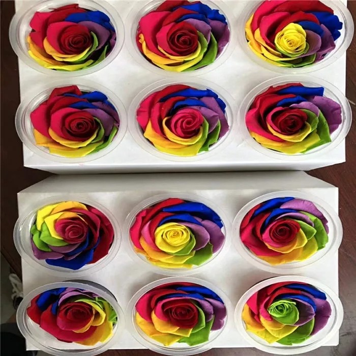 rainbow rose 5-6cm Fresh Stabilized Eternal real preserved rainbow roses