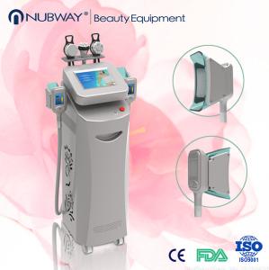 China cryolipolysis fat freeze vacuum cryolipolysis liposuction slimming machine with CE wholesale