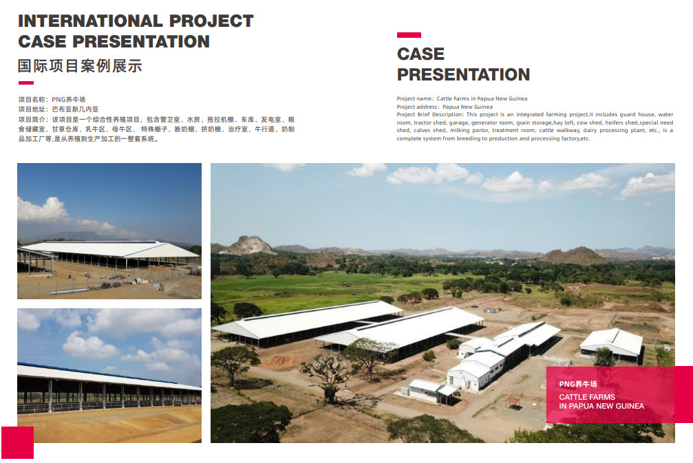 Professional Design Chicken Farm Equipment House Prefabricated Steel Buildings